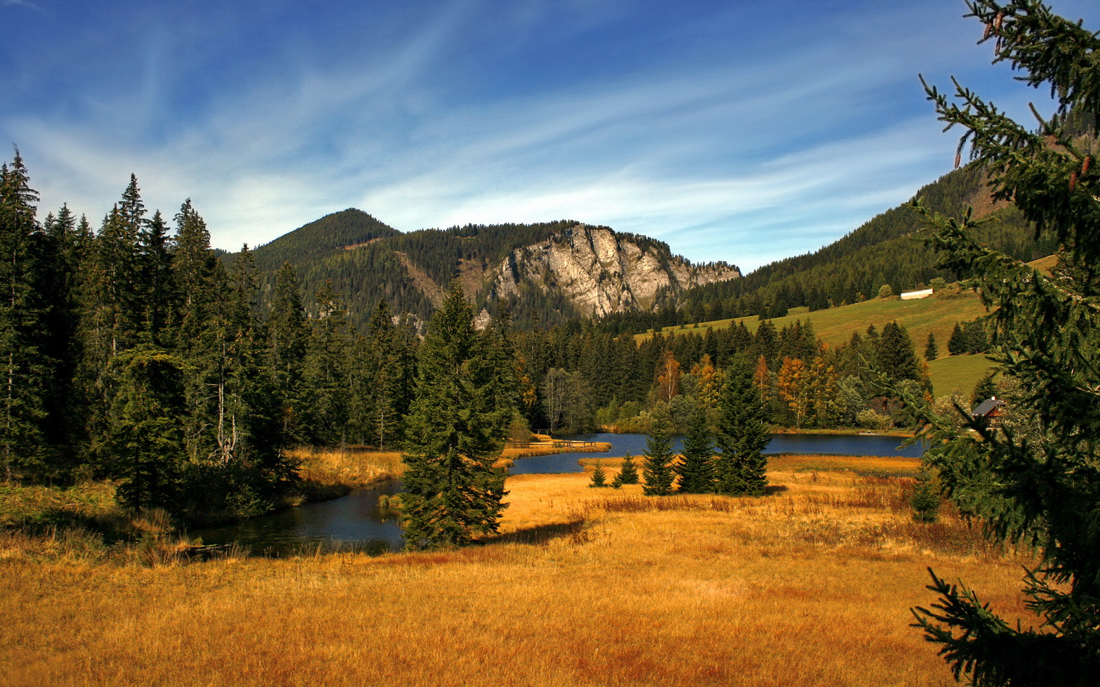 美国在巴黎奥运会奖牌榜上排名第一,美国奥运奖牌排行