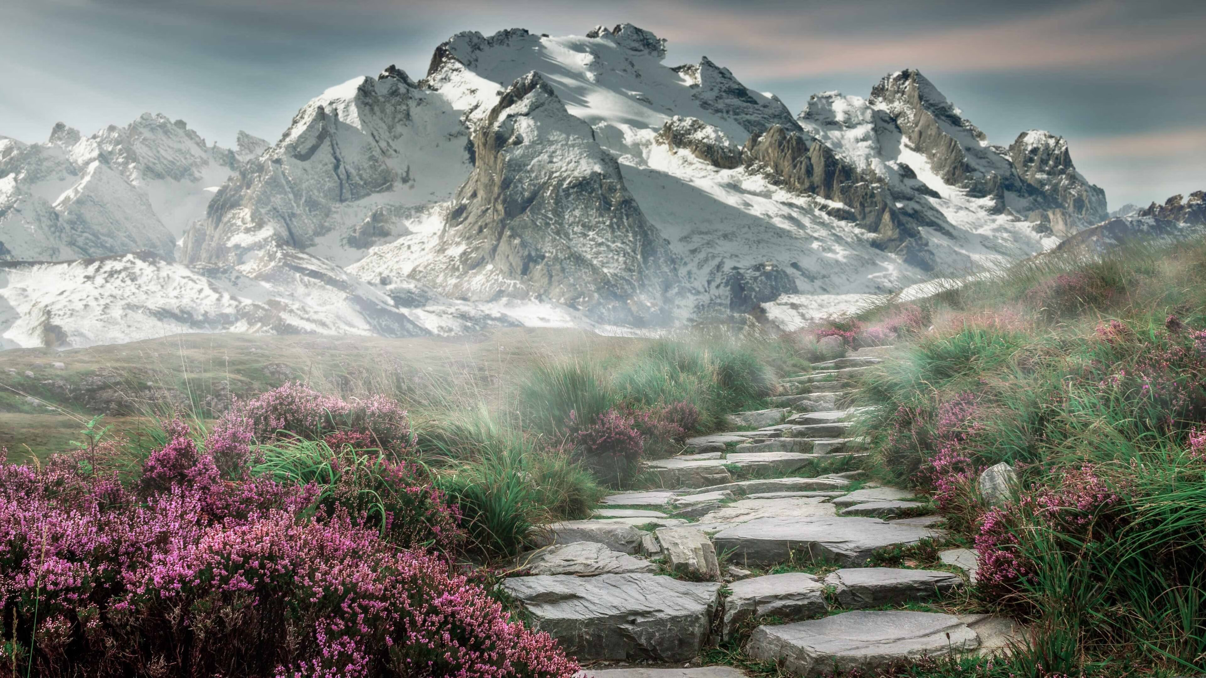 im电竞官网-美国女足在巴黎奥运会上展现出强大的进攻火力，奥运美国女足首发