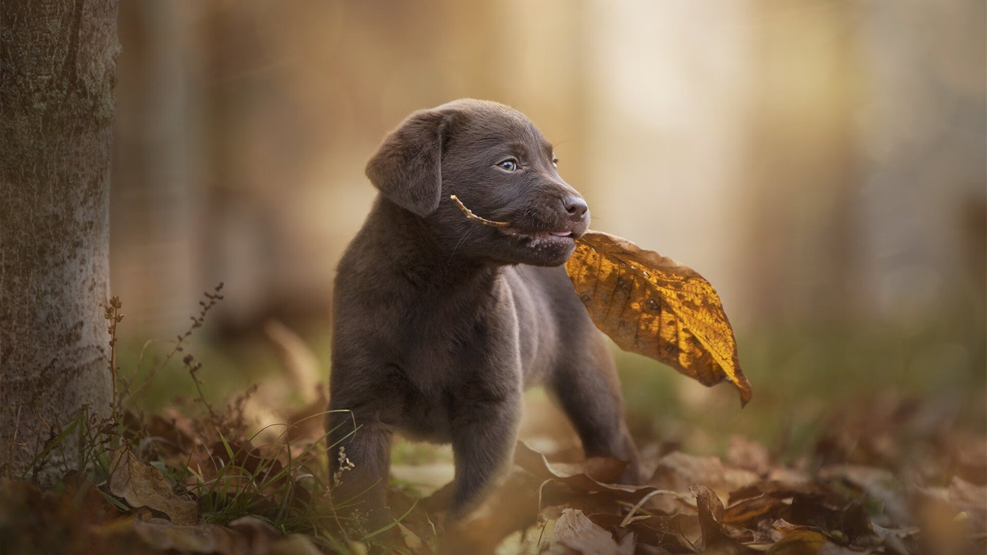 青少年篮球青训基地昆明落成,为西南地区培养新人,昆明青少年篮球比赛