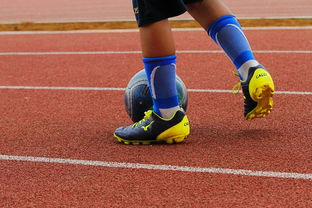 im体育官方登录-中国青少年篮球运动员体能素质发展规律，我国篮球青少年运动发展现状