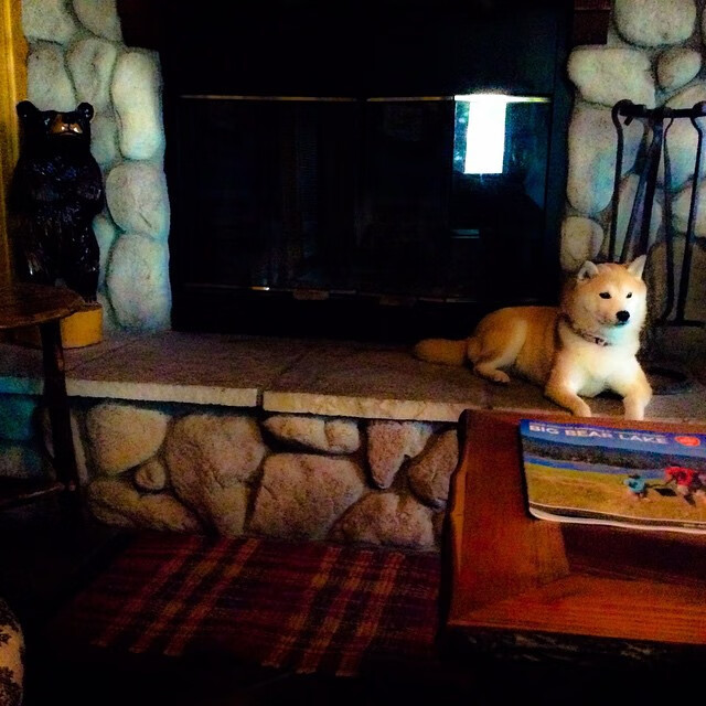 国足控球系统中断原因统计分析,足球控球是什么意思