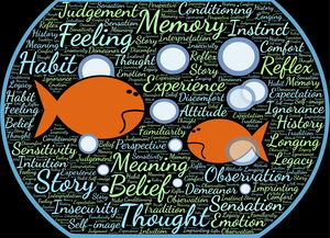 im体育官网-法甲实际战术板使用率与胜率关系初步调查，法国套战术板