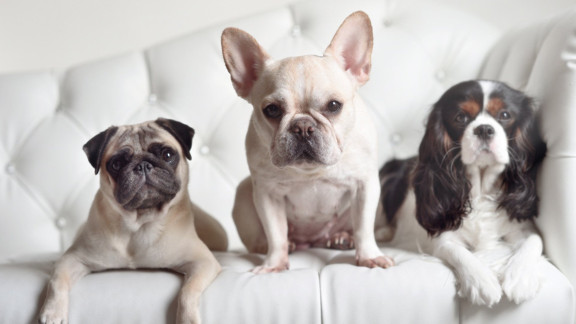 im电竞官方-美国女队奖牌榜领跑，美国女队奖牌榜领跑是谁