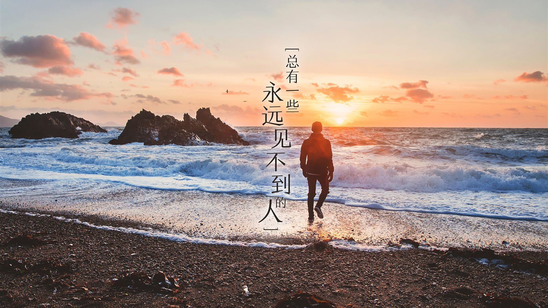 im电竞官网登录-“亚戈·卡尔曼的球场智慧与执行力，成就美洲狮队的未来”