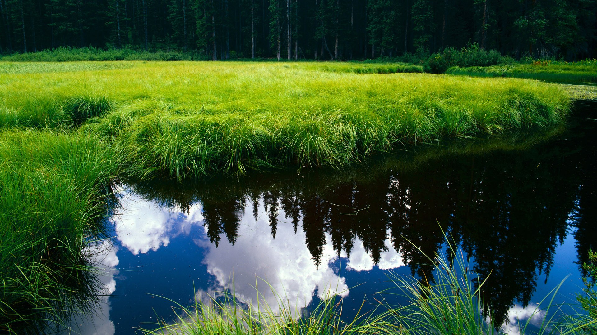 体育新闻中心通报运动会赛程协调机制运行成果，运动比赛新闻