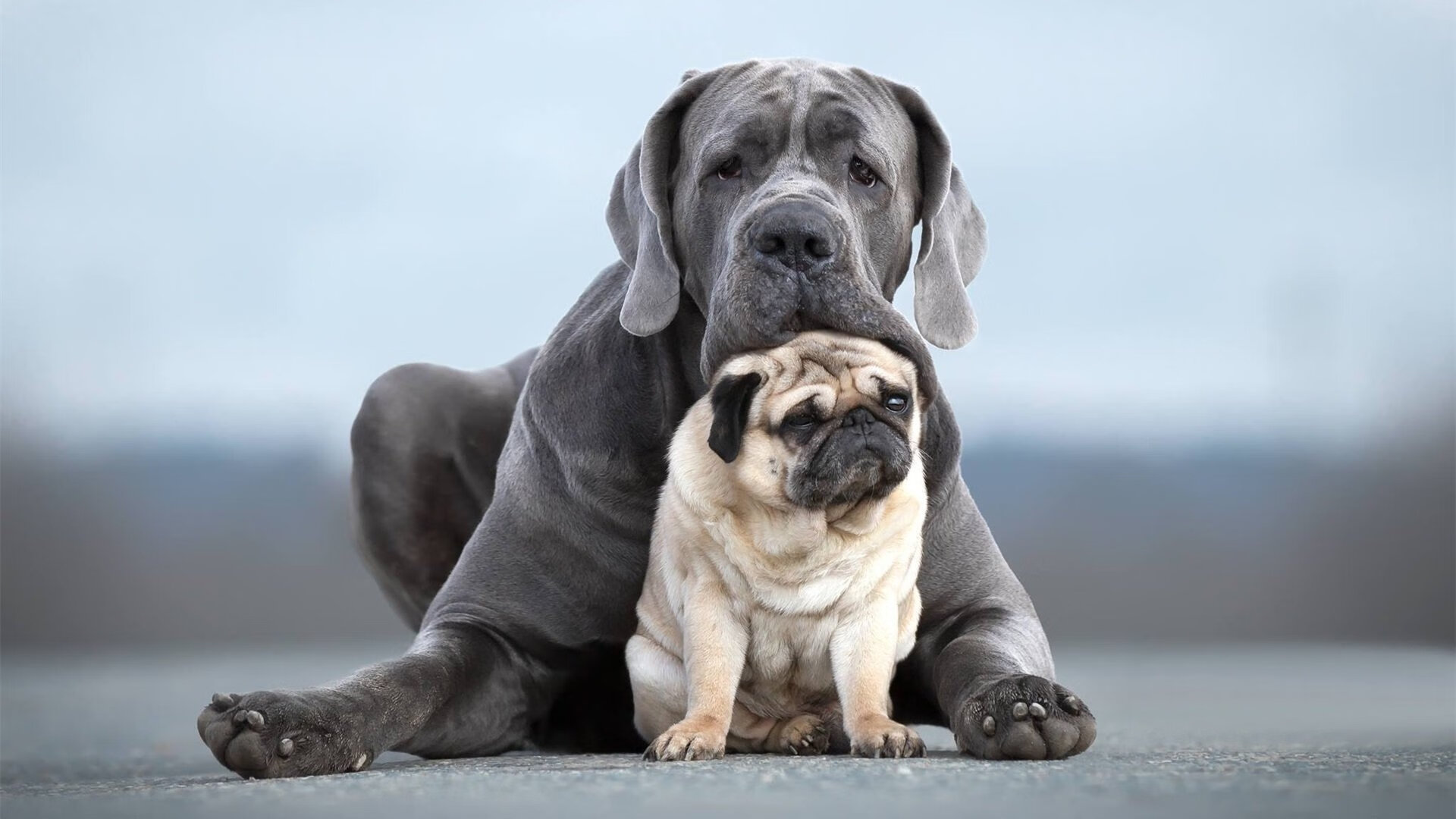 俱乐部管理层召开发布会公布球队未来发展战略规划,各大俱乐部球员