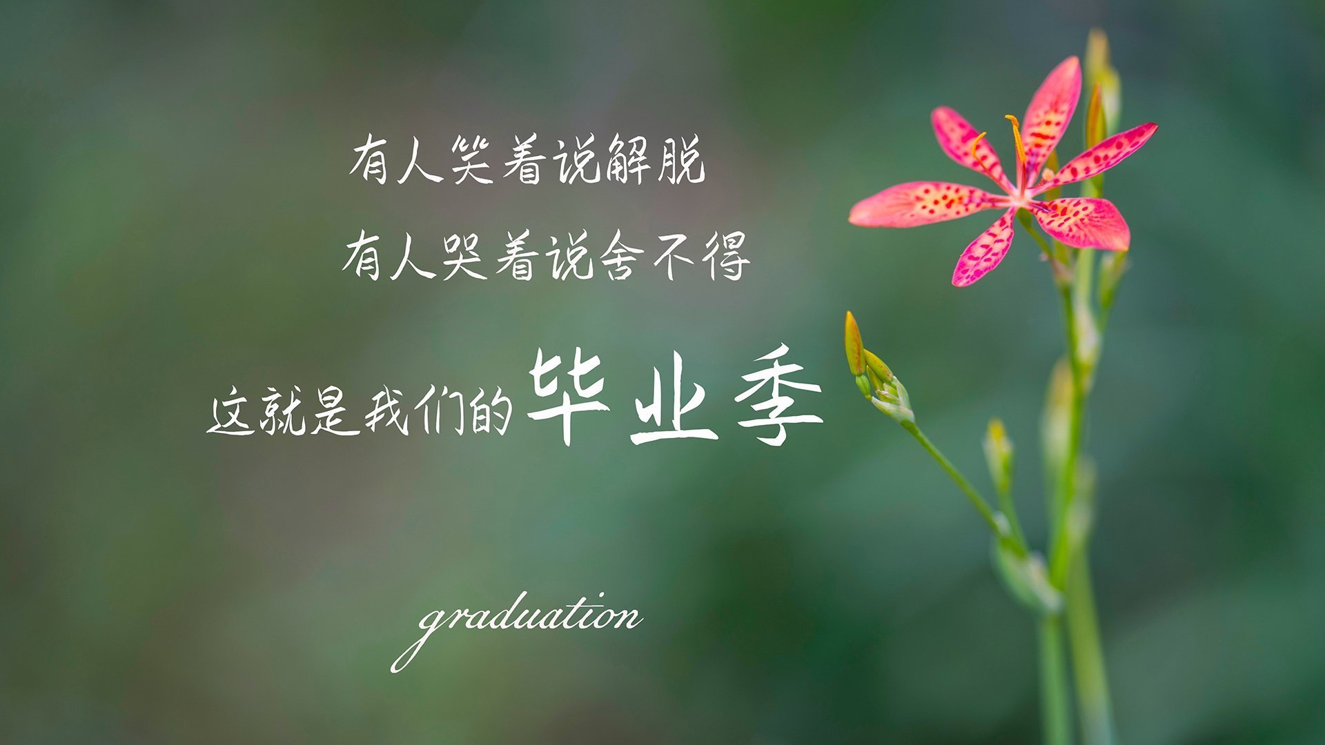 图穆亚展现的突破与传球能力,令袋鼠队进攻如行云流水,穆图什么水平